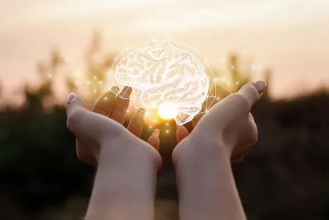 Desenvolvimento Psíquico e Relacional